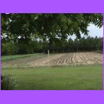 Plowing The Fields.jpg